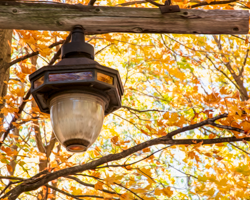 An antique Milwaukee street light reflects the autumnal ochres and oranges from the background maples. Its weathered cedar support and its rusted iron hardware add their own texture to this quiet fall scene.