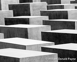 The Sharp Contrasts of Black, White, and Grey