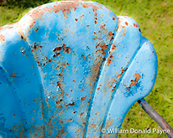 The Art of Resting and Reclining