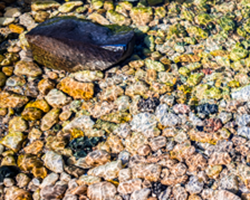 Patterns of Colors, Textures, and Forms