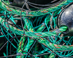 The Serpentine Beauty of Rope Lines, Colors, and Textures