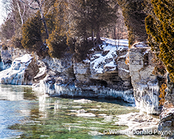 The Wonderland of Frost, Ice, and Snow