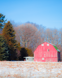 The shapes of Wisconsin red barns reflect their northern European heritage.