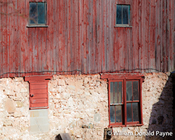 The Eyes and Mirrors of Our Buildings