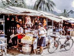 Along Sarawak's one road vendors offer their wares to travelers.