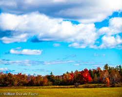 Billowy autumn clouds stretch high above the scarlet woods of Door County, WI.