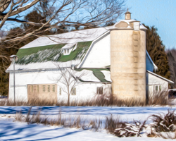 An aged maple frames a picturesque Wisconsin barn. A bit of magic is afoot. The trees have come to life as if touched my Merlin's spell. The snow seems poised to fall in a single, energetic burst. Like dark, gentle forces the purple shadows creep across the frozen ground. Winter whimsy wins the day.